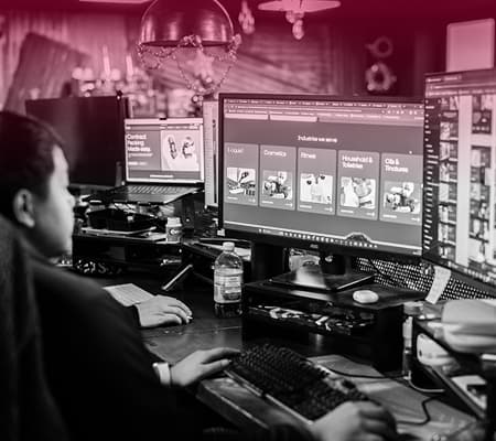 WordPress
 Development